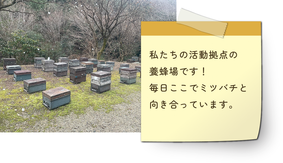 私たちの活動拠点の養蜂場です！毎日ここでミツバチと 向き合っています。